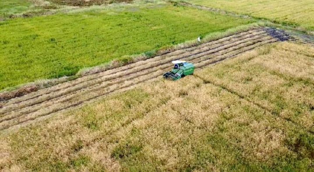 Pemprov Kaltim mencoba mencari lokasi alternatif yang bisa menambal areal cetak sawah yang tak lolos juknis.