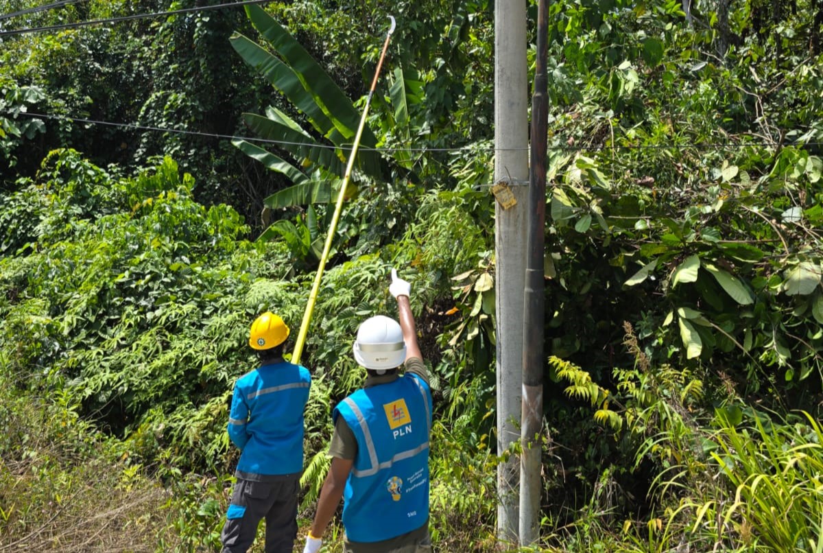PLN mengimbau masyarakat di wilayah terdampak agar dapat mengantisipasi pemadaman sementara selama pekerjaan berlangsung.