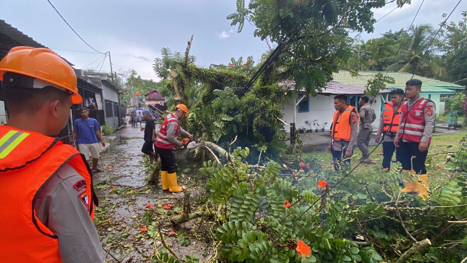 TUMBANG: Proses evakuasi pohon tumbang dilakukan Brimob Polda Kaltim bersama warga setempat.