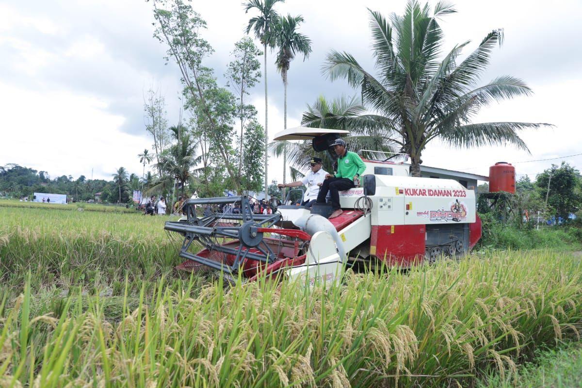 PENGELOLAAN: Peningkatan SDM jadi penting agar petani mampu mengelola sawah baru dengan baik. Berkaitan juga dengan teknologi pertanian.