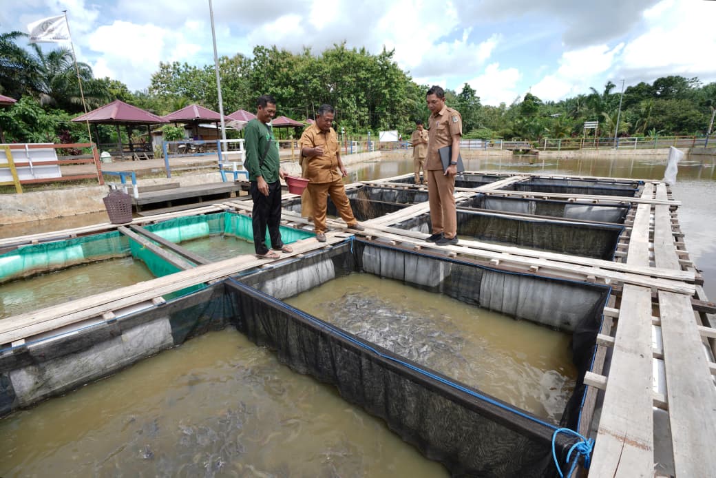 BUMDes di Paser mendapatkan pendampingan pengembangan budidaya ikan dari pemerintah daerah.
