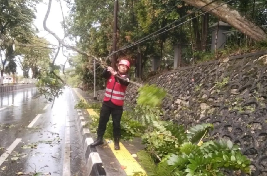EVAKUASI: Petugas mengevakuasi banyaknya ranting pohon yang berserekan di Jalan Ruhui Rahayu, Balikpapan.