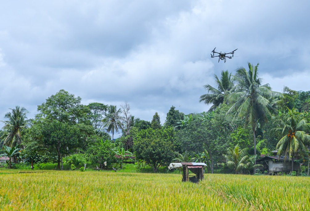 Intervensi dilakukan dengan program ketahanan pangan lewat digital farming dan menjadikannya pilot project untuk tingkatkan produksi beras Kaltim.  &nbsp;
