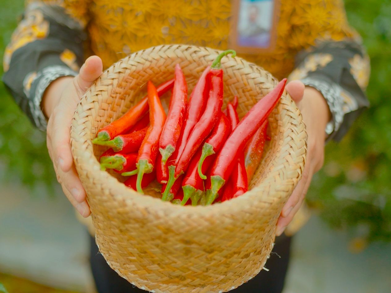 Cabai jadi komoditas yang menjadi perhatian serius dalam pengendalian inflasi.  &nbsp;
