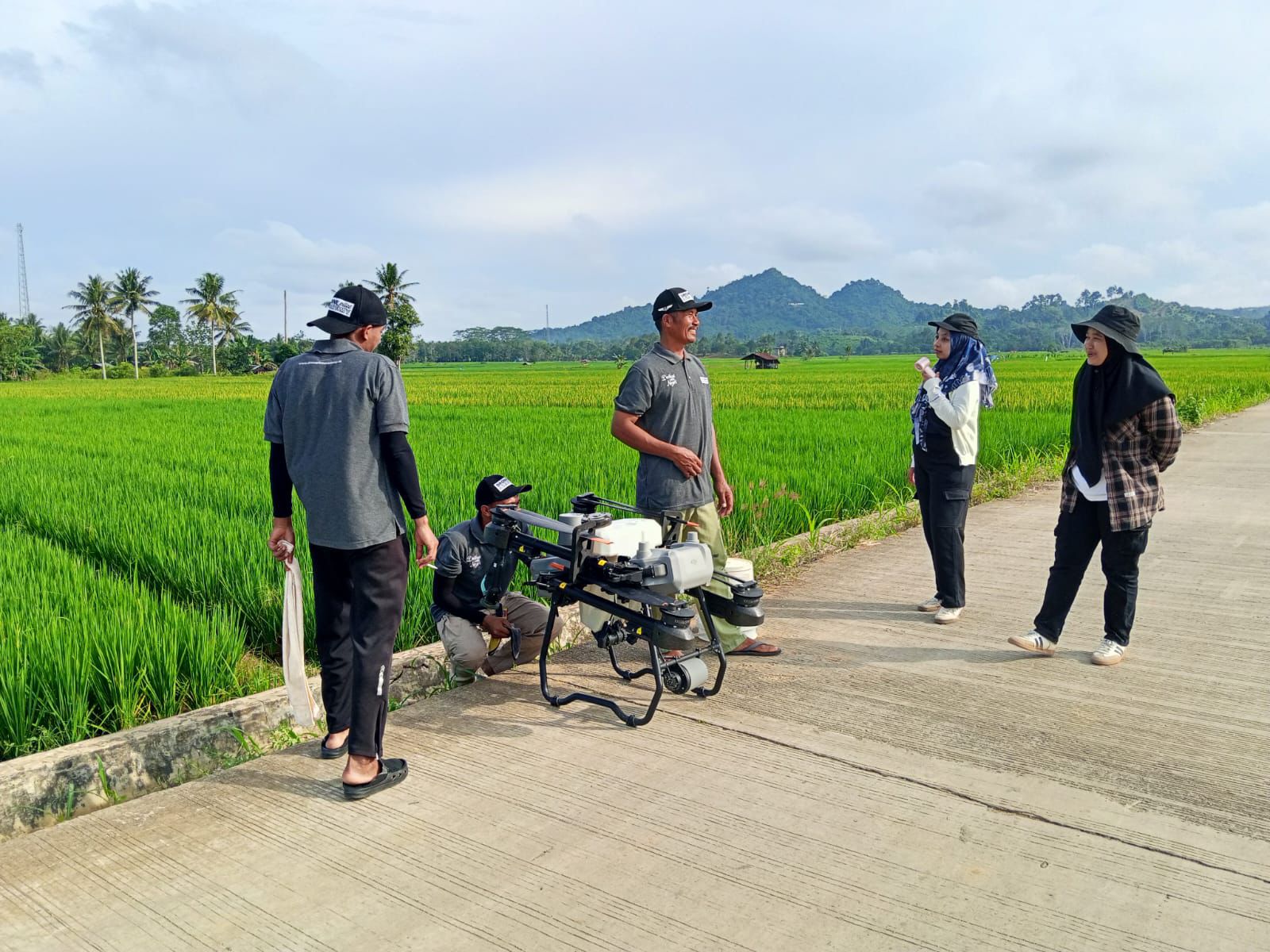 Mekanisasi pertanian dengan drone sprayer dirasakan petani jauh lebih efisien dan efektif baik dari segi tenaga dan biaya produksi.  