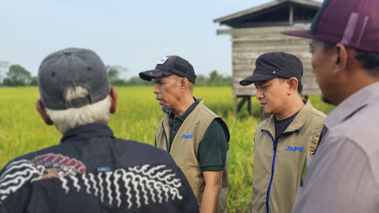 TARGET: Bulog Cabang Paser-PPU terus menggenjot panen gabah agar mencapai target pada 2026 ini untuk dua kabupaten. 