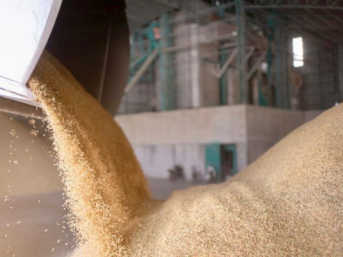 Produksi petani lokal Kaltim baru mencapai 157 ribu ton, sedangkan kebutuhan mencapai 351 ribu ton.  &nbsp;