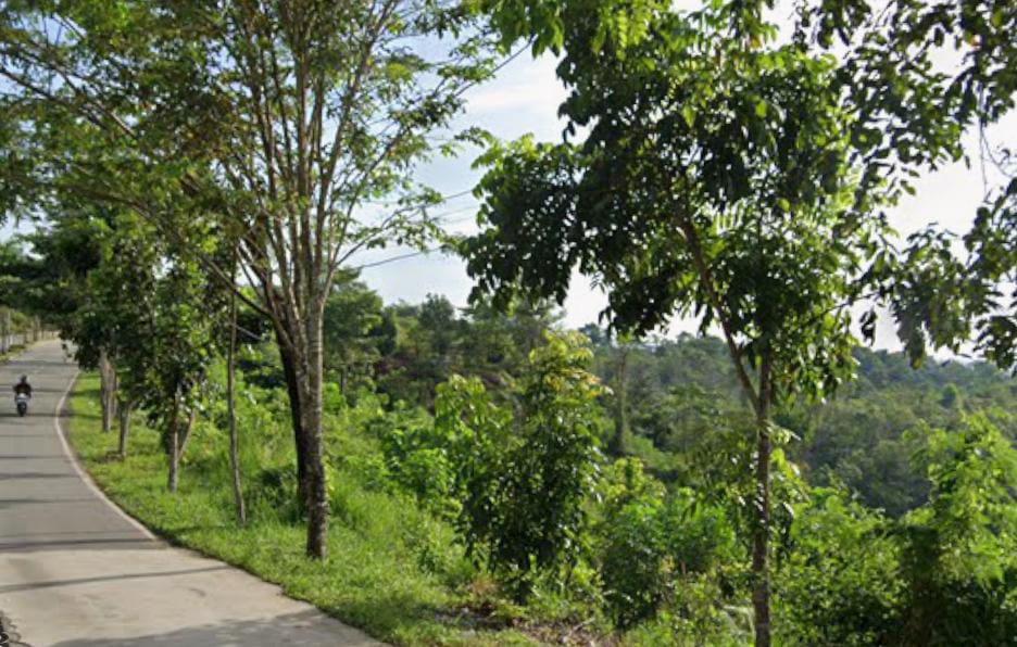 ANTISIPASI: Pemkot Bontang mengucurkan anggaran untuk penanganan longsoran di Jalan Soekarno-Hatta meski skemanya dipastikan bertahap. FOTO: ADIEL KUNDHARA/KP  
