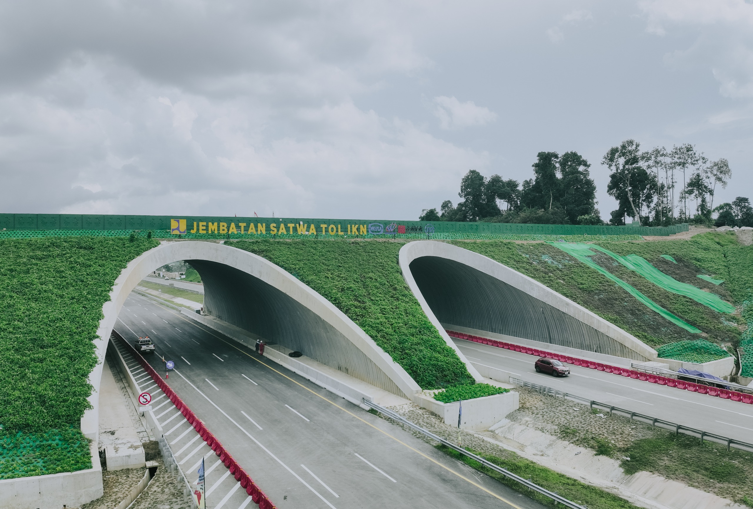 DUA TITIK: Jembatan satwa Tol IKN dibangun di dua titik strategis, yakni pada STA 8+325 dan STA 10+025 yang selama ini menjadi koridor alami perlintasan satwa.