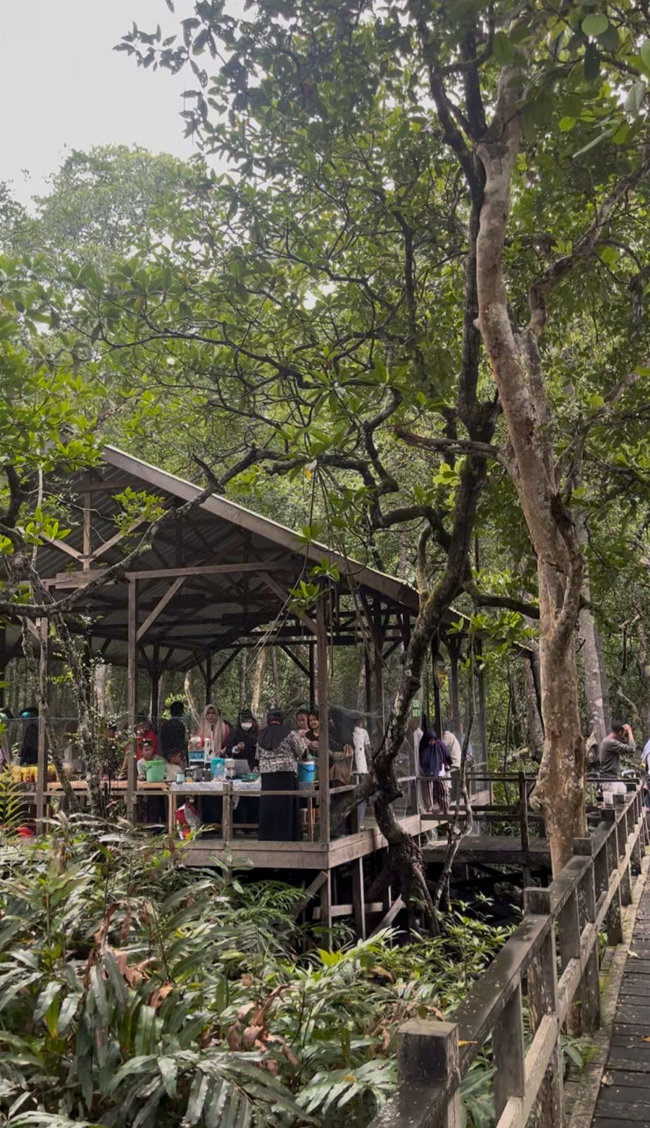 Pekan ini Wisata Mangrove di Desa Klempang Sari Kecamatan Kuaro telah ditambah wahana kuliner berupa Pasar Tradisional.  &nbsp;  &nbsp;