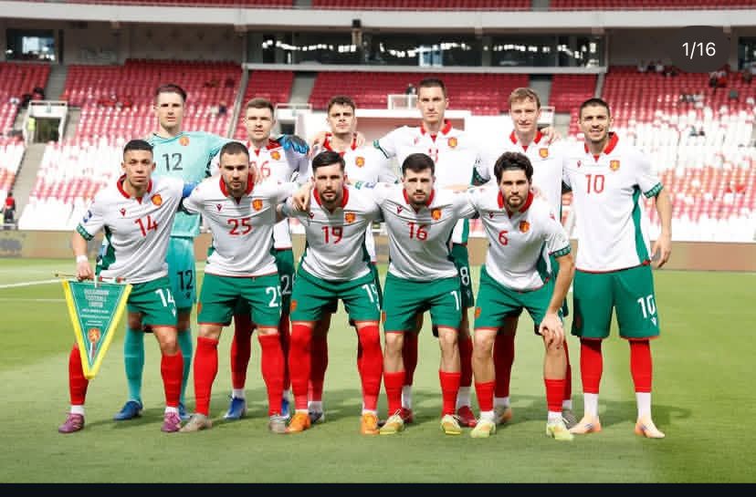Tim Bulgaria.