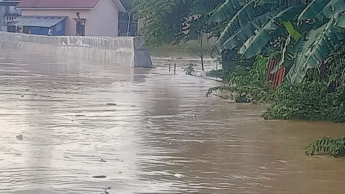 Kapasitas daya tampung DAS Bontang masih 70 persen akibat belum seluruhnya dilakukan penurapan dengan tinggi yang sesuai. (ADIEL KUNDHARA/KALTIM POST)
