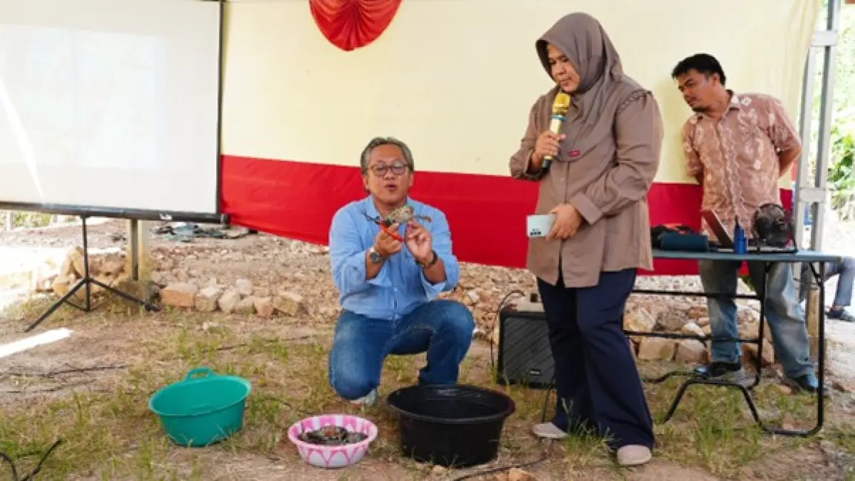 SIMULASI: Edukasi simulasi penanganan kepiting kepada masyarakat Desa Tanjung Seloka. Kegiatan ini merupakan bagian dari pelatihan teknis budidaya untuk meningkatkan nilai jual.

&nbsp;