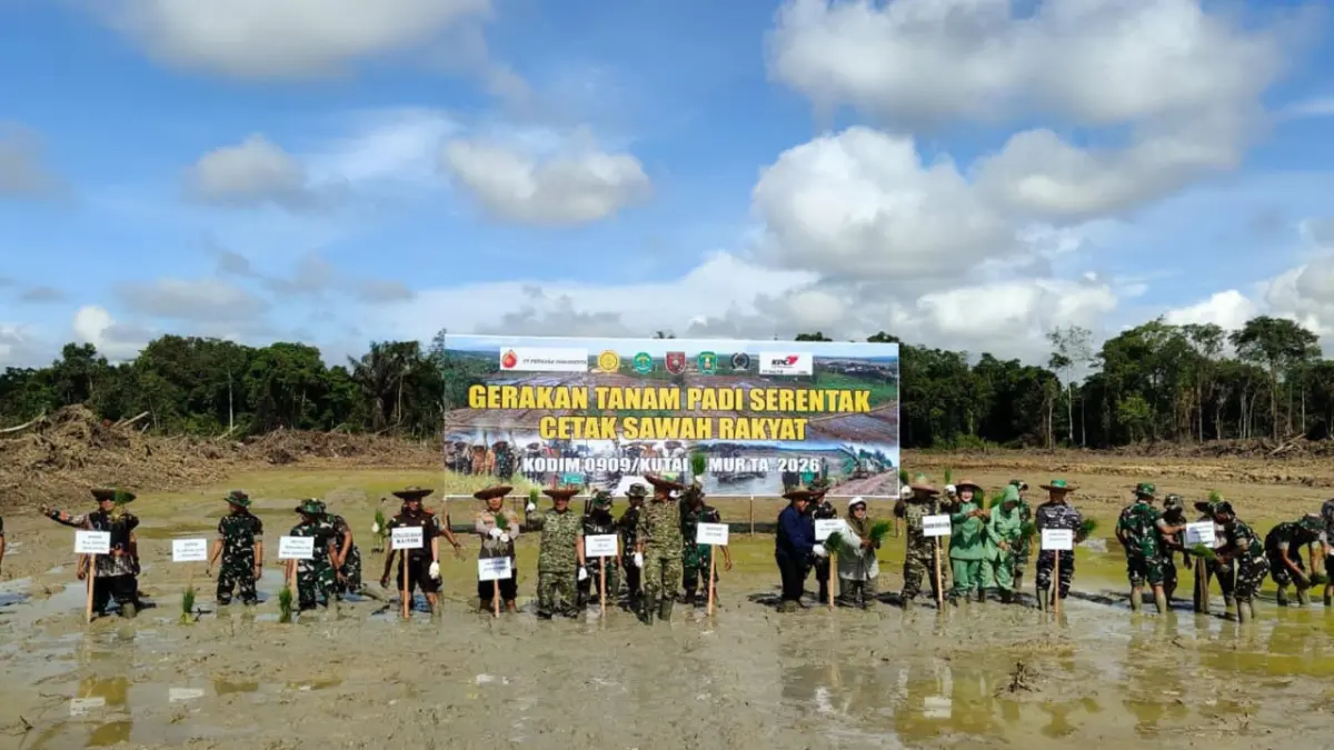 KOMPAK: Gerakan Tanam Padi Serentak di lahan cetak sawah rakyat yang berpusat di Kecamatan Bengalon Kutim, Kamis (9/4/2026). (FOTO IST)