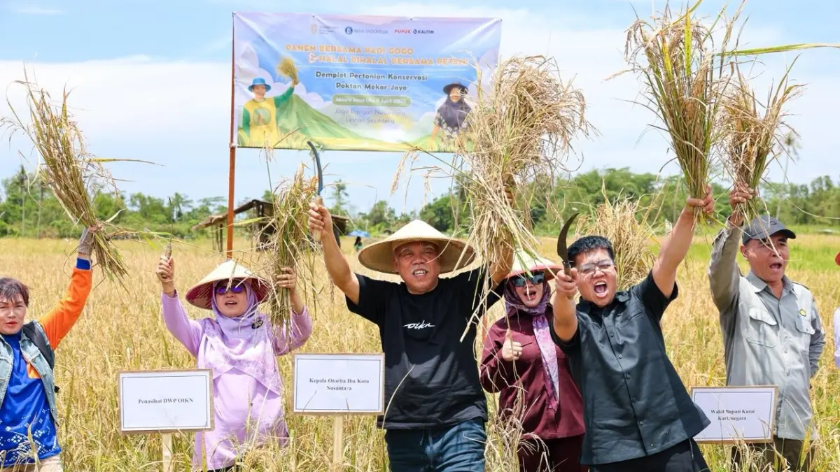 PANEN PERDANA: Kepala OIKN Basuki Hadimuljono (tiga kiri) bersama para pihak melaksanakan panen padi gogo di Muara Jawa, Kutai Kartanegara. (OIKN/kp)