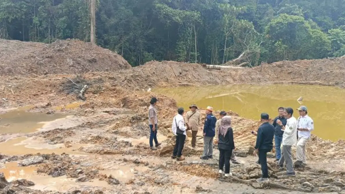 PARU-PARU PENDIDIKAN DIRUSAK: Kondisi lanskap Kawasan Hutan Dengan Tujuan Khusus (KHDTK) KRUS Unmul yang terdampak aktivitas tambang ilegal. Tim Hukum Unmul kini tengah menghitung valuasi kerusakan ekologis secara mandiri untuk menyeret aktor korporasi ke jalur hukum, menyusul vonis dua tahun penjara bagi salah satu pelaku lapangan. (DOK/KP)