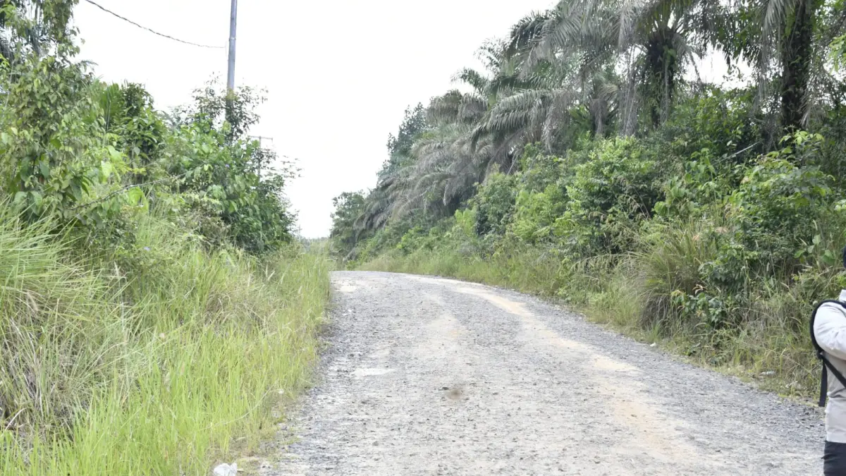 Jalan desa dan kecamatan yang belum kondisi mantap ditargetkan selesai dalam dua tahun ke depan. (IST)

&nbsp;