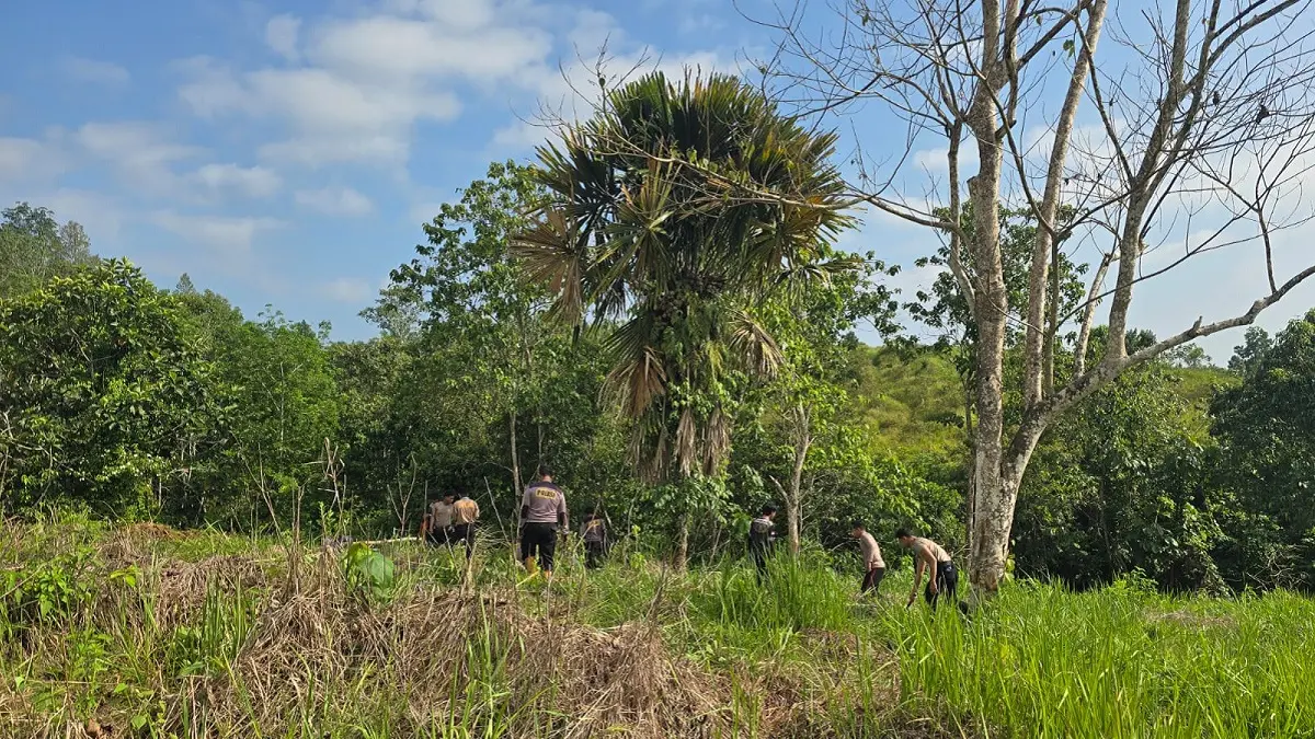 BUKA LAHAN: Personel Polsek Sepaku, PPU, dikerahkan buka lahan untuk ditanami jagung.(humas polres ppu/kp)