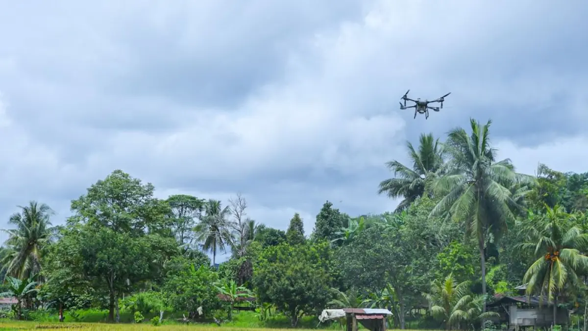 MEKANISASI: Penggunaan drone meningkatkan efisiensi penggunaan air dan pupuk serta menjaga kualitas panen.