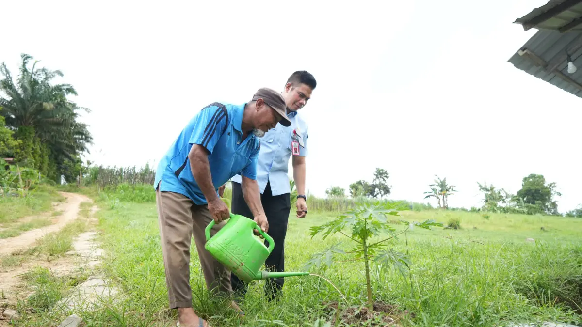 Selain menghasilkan gas, sisa pengolahan gas dimanafaatkan Kelompok Tani Agro Lestari, Samboja, Kukar, sebagai pupuk cair yang kaya nutrisi.