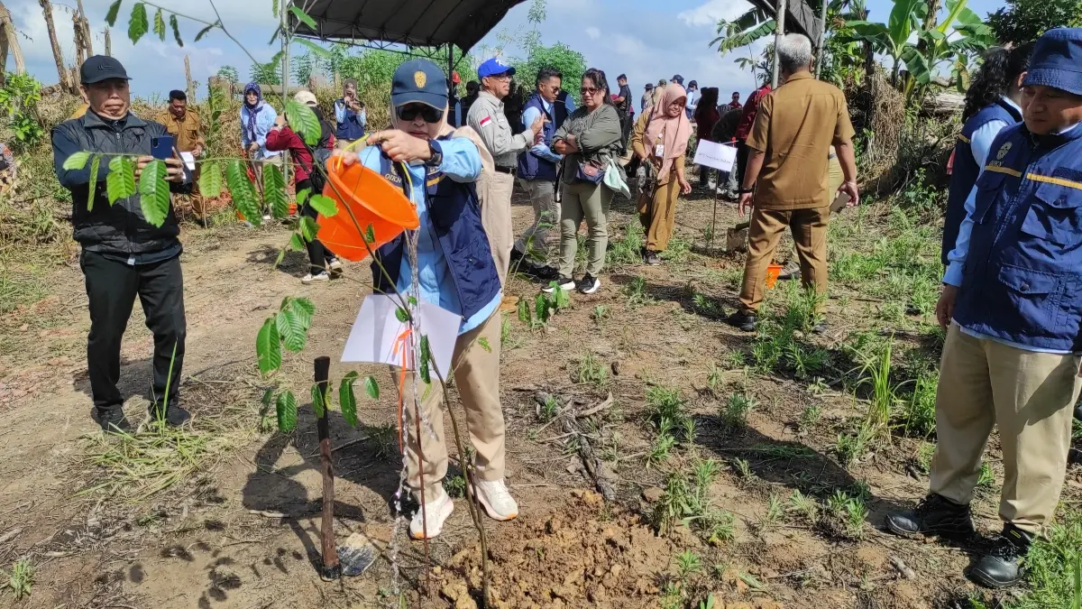 Deputi Bidang Lingkungan Hidup dan Sumber Daya Alam Otorita Ibu Kota Nusantara (IKN), Myrna Asnawati Safitri saat memimpin penanaman pohon bersama.