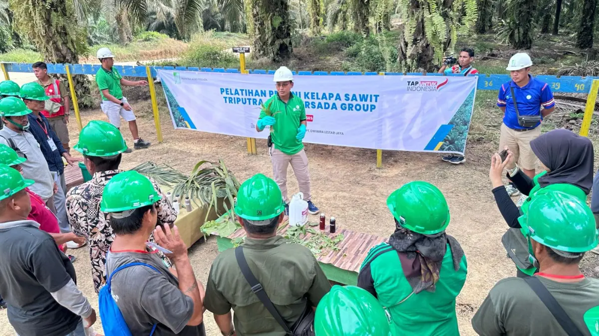 TAMBAH WAWASAN: Praktik lapangan menjadi fokus utama dari Pelatihan PERKASA yang digelar PT EBL agar para peserta memiliki pemahaman sempurna dalam mengelola kebun sawit.

&nbsp;