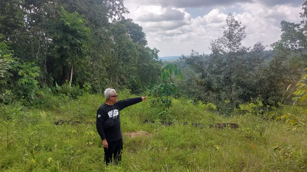 ANCAM: Wilayah Samboja Lestari yang menjadi pusat konservasi satwa orangutan dan beruang madu kini terancam. (OKTAVIA MEGARIA/KP)