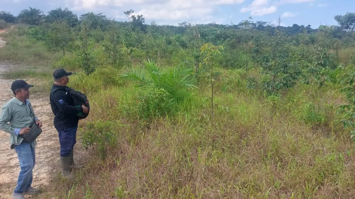Kawasan BOSF Samboja Lestari. (FOTO OKTAVIA MEGARIA/KP)