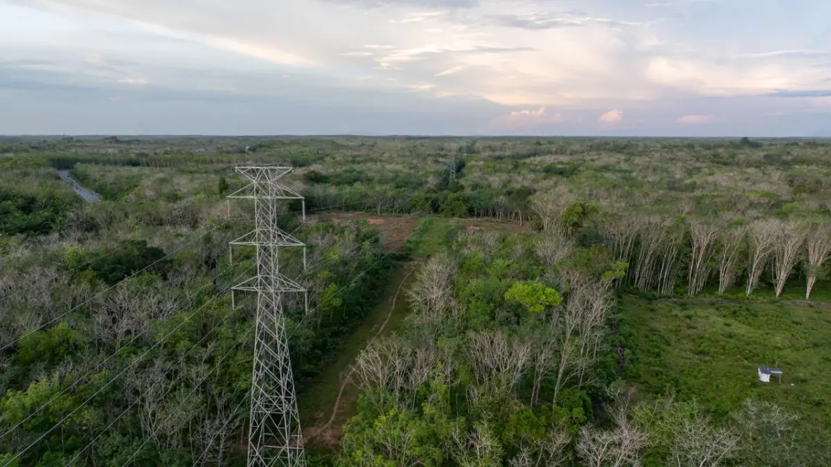LISTRIK ANDAL: Ilustrasi jaringan SUTT 150 kV di wilayah kerja PLN UIP KLT yang menjadi bagian dari infrastruktur strategis dalam mendukung keandalan sistem kelistrikan di Kalimantan.

&nbsp;