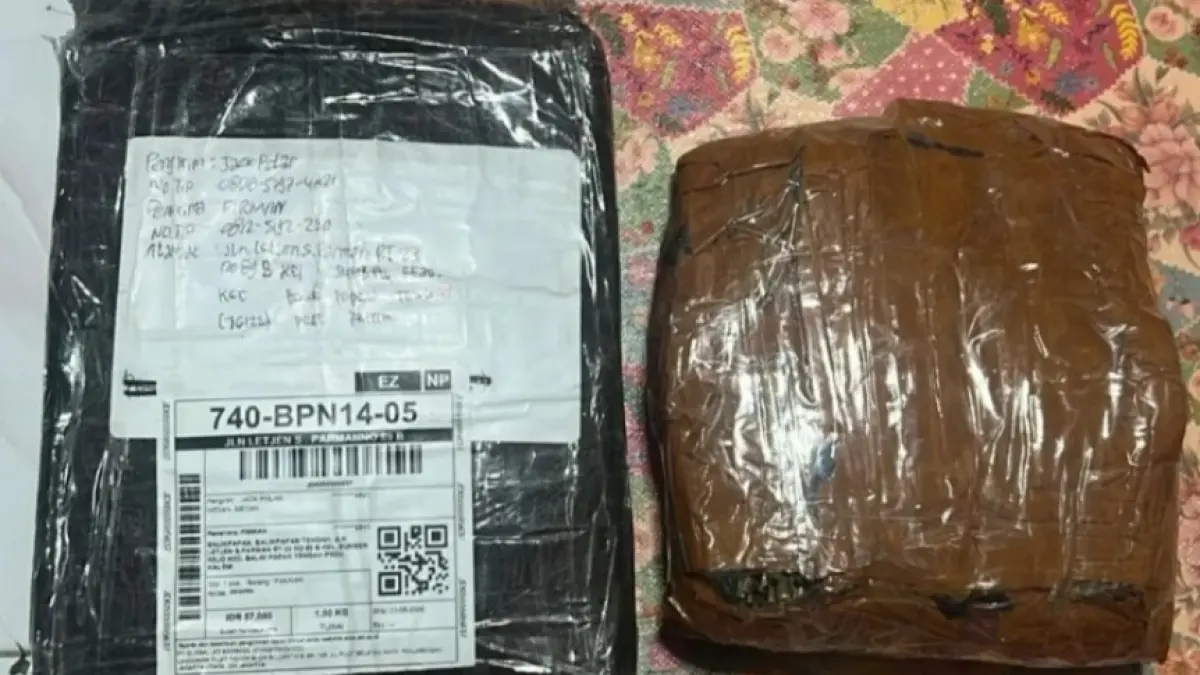 GANJA: Petugas mengamankan barang bukti ganja 1 kg yang hendak dipasarkan di Balikpapan, satu terduga pelaku diamankan.