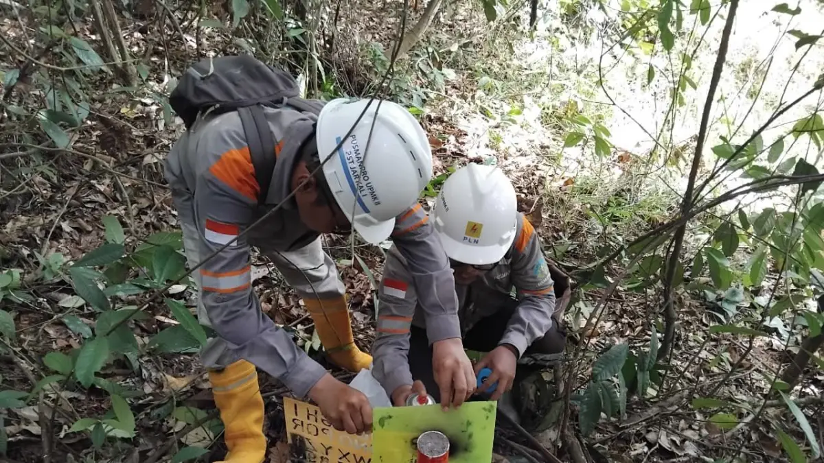 SURVEI LAPANGAN: Tim PLN melaksanakan survei dan penandaan titik jalur rencana transmisi SUTT 150 kV GI Tanjung Redeb – PLTG Kaltim/Kaltara di area lapangan sebagai bagian dari pengumpulan data teknis dan kondisi eksisting wilayah rencana pembangunan.
