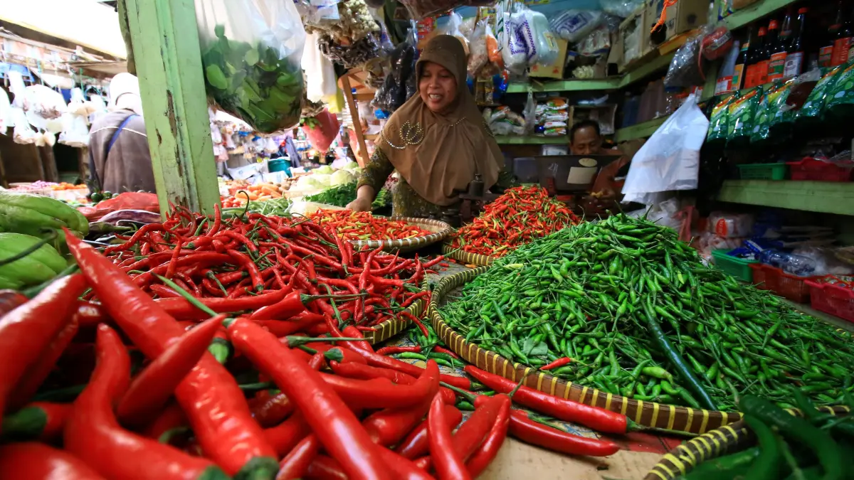 Harga cabai rawit yang sebelumnya sempat tinggi, belakangan mulai turun.
