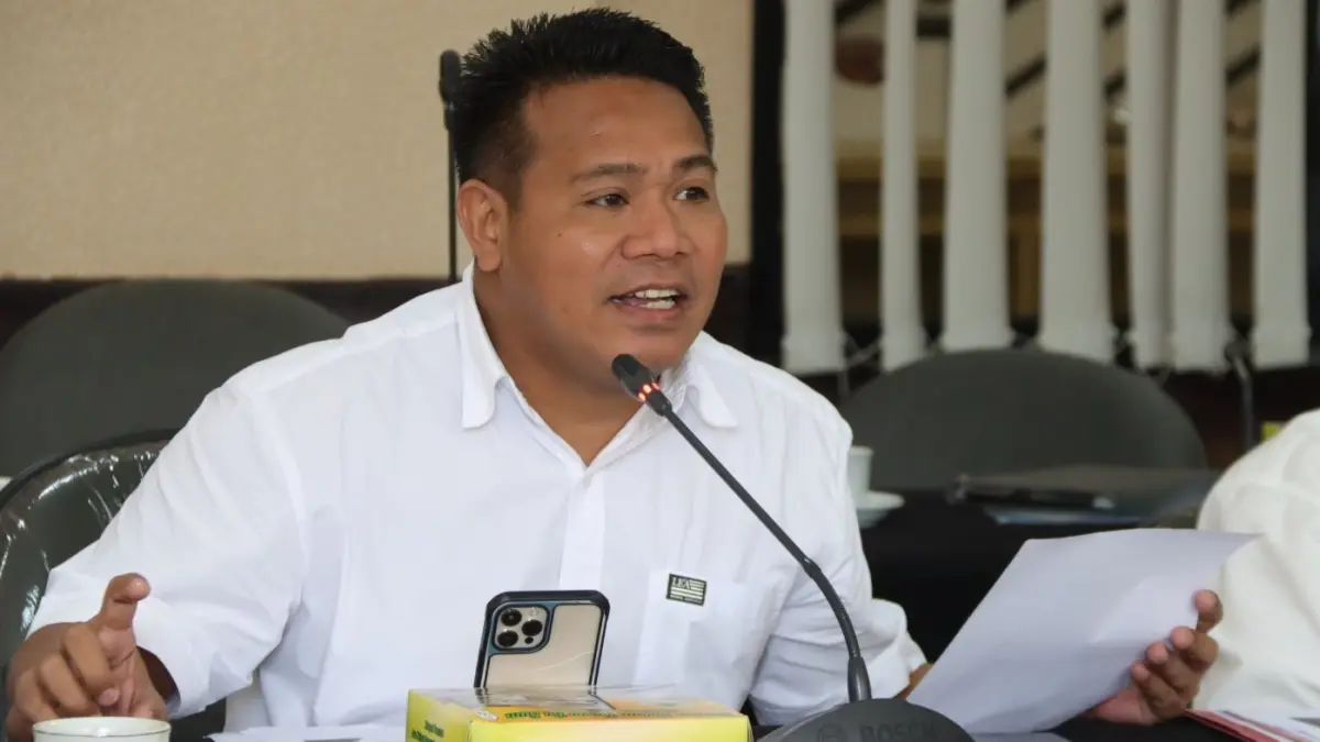 Anggota DPR RI Syafruddin