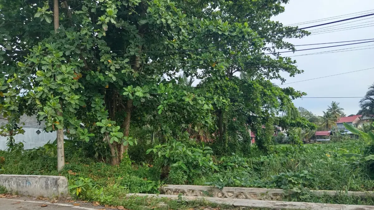 LOKASI: Area rencana Pembangunan Polder Tanjung Laut sebagai salah satu upaya penanganan banjir di wilayah Bontang Selatan. ADIEL KUNDHARA/KP