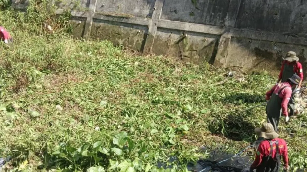 ANGKAT SEDIMEN: Tim dari Dinas Pekerjaan Umum dan Penataan Ruang Kota (PUPRK) Bontang melakukan pembersihan di saluran drainase untuk mencegah banjir. (ADIEL KUNDHARA/KP)