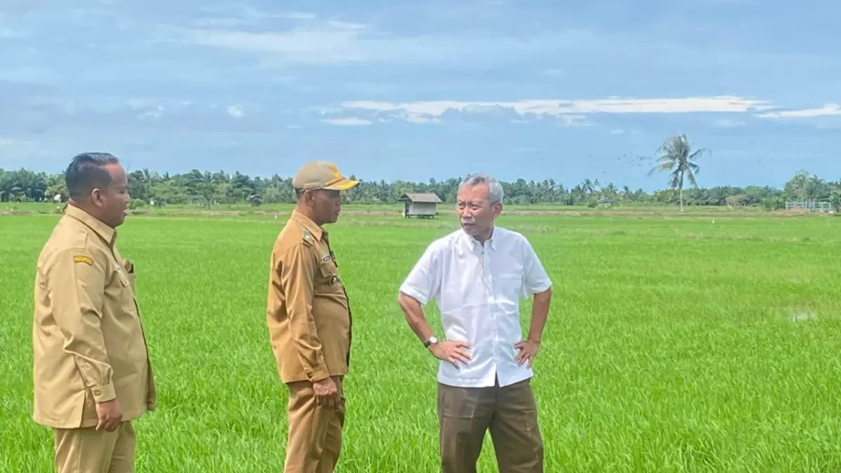 Nicko Herlambang bersama Darisugi dan Laku Faudzul Idhi meninjau lokasi uji coba penanaman padi varietas unggul Gamagora 7 di Desa Sidorejo, Senin (18/5/2026). (IST)