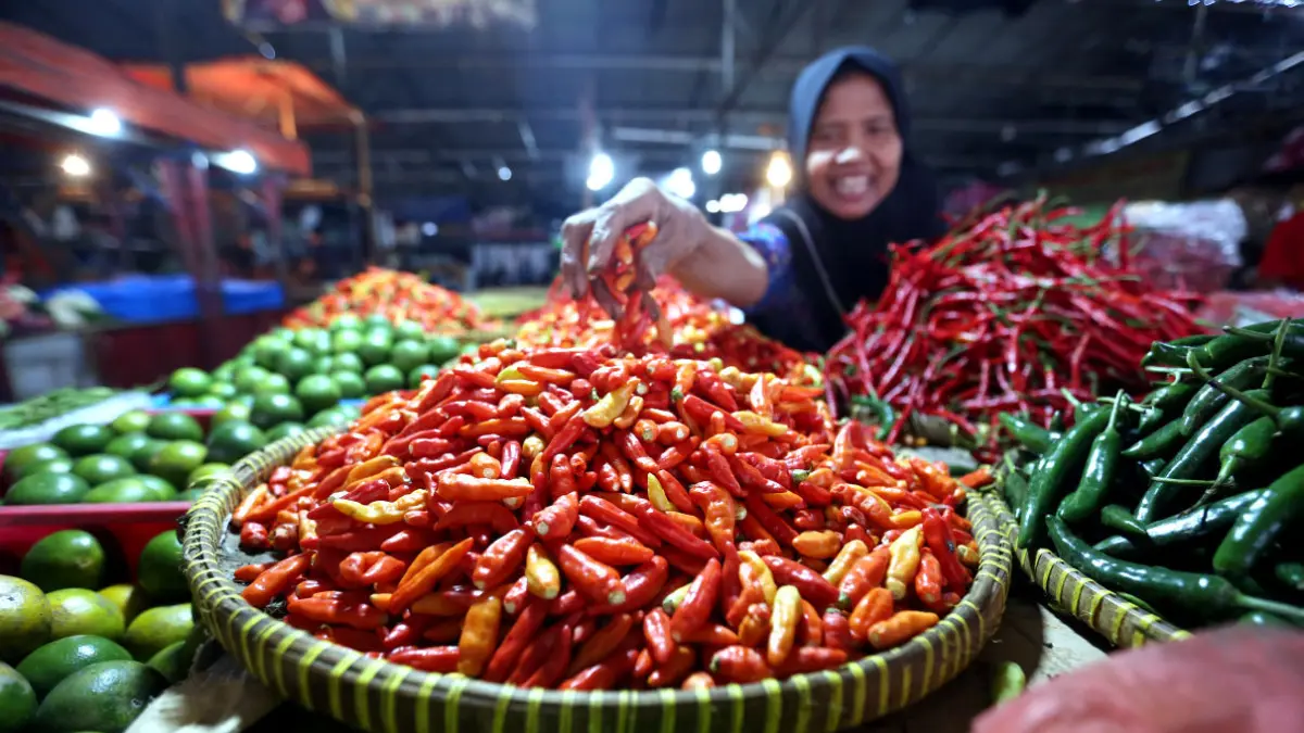 NAIK: Harga cabai rawit merah naik cukup tinggi di PPU hingga Rp 75 ribu lebih per kilogram.(ist)