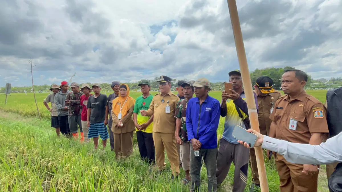 TINJAU: Wakil Wali Kota Balikpapan Bagus Susetyo (tengah) bersama jajaran OPD meninjau kawasan persawahan di Gunung Binjai, Kelurahan Teritip, Balikpapan Timur, Selasa (19/5/2026). (ANGGI PRADITHA/KP)