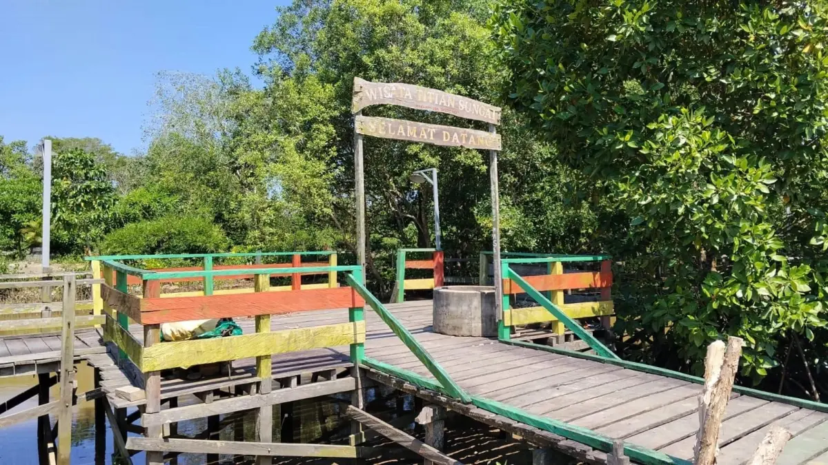 Wisata mangrove di Desa Babulu Laut, Kabupaten Penajam Paser Utara, yang menjadi lokasi program rehabilitasi mangrove bersumber dari APBN 2021. (AHMAD MAKI/KALTIM POST)