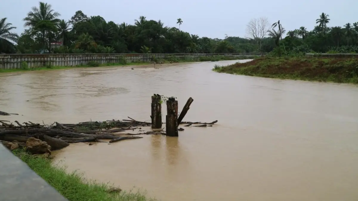 Sungai yang diturap di Kecamatan Sepaku, PPU.
