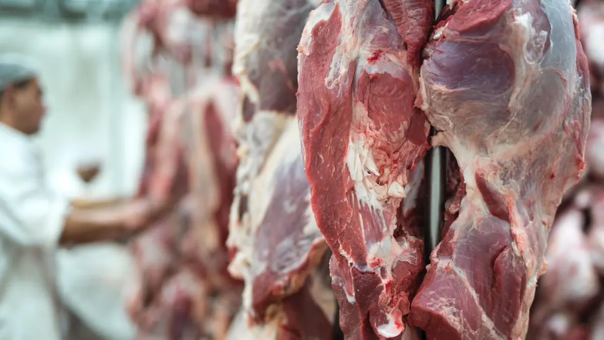 PENGAWASAN: Pemotongan kurban di RPH, memudahkan pengawasan kesehatan daging dan penerapan standar kesejahteraan hewan.