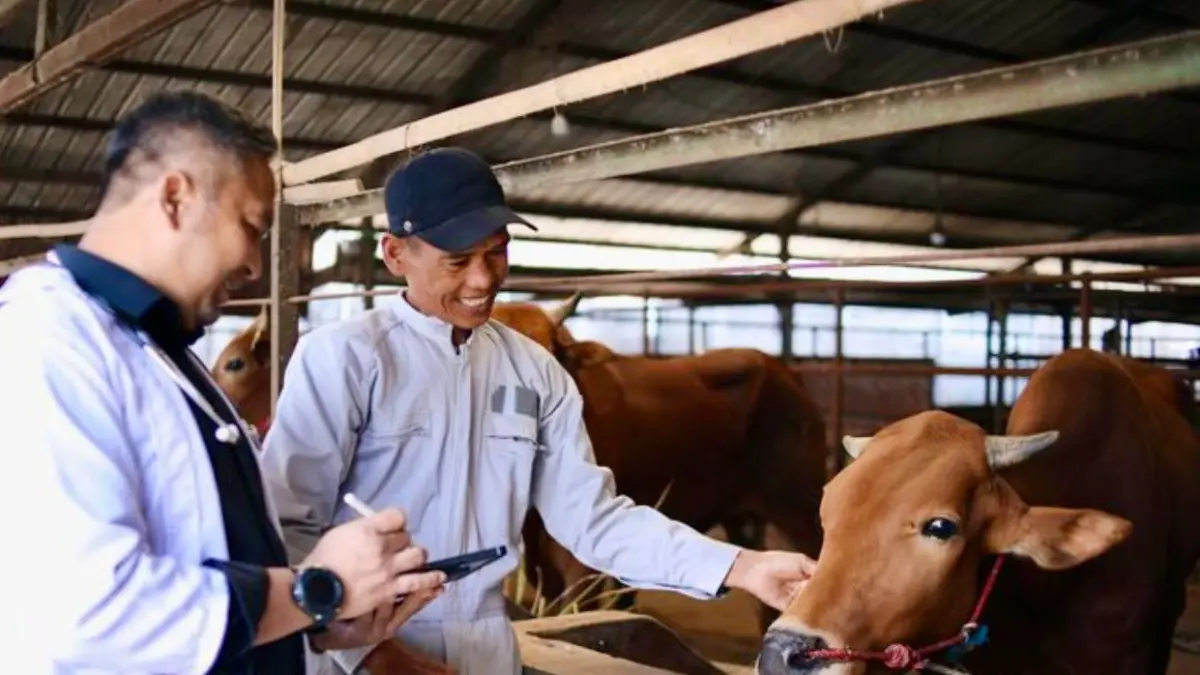 ANTISIPASI: Pemerintah mengantisipasi penyebaran penyakit hewan kurban dengan vaksinasi dan pengetatan administrasi yang masuk ke Kaltim. (IST)
&nbsp;