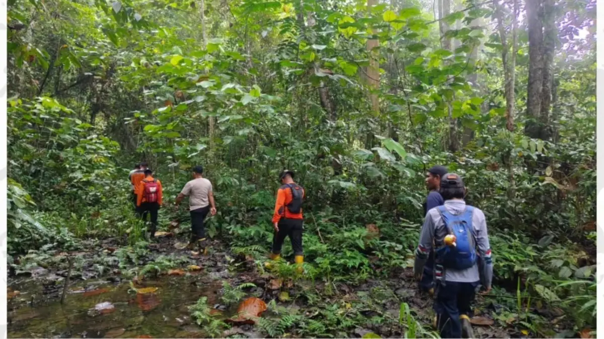 HILANG; Pencarian hari kedua untuk menemukan warga yang dilaporkan hilang di kawasan hutan area ITCIKU, Sepaku, PPU.(ist)