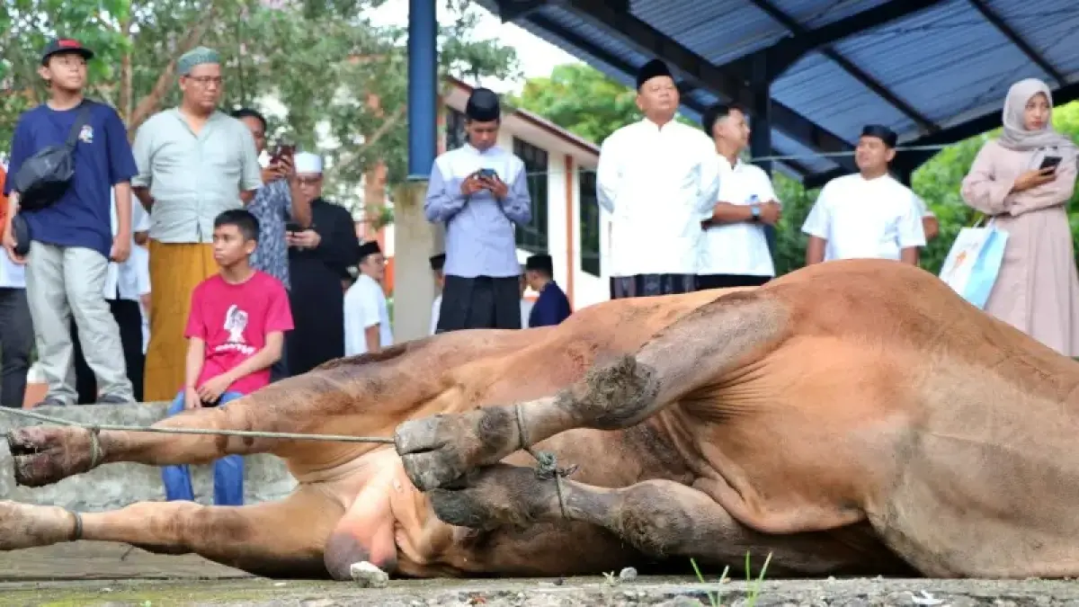 IDULADHA: Kapolda Kaltim Irjen Pol Endar Priantoro setelah salat Iduladha berjamaah turut menyaksikan penyembelihan hewan kurban.