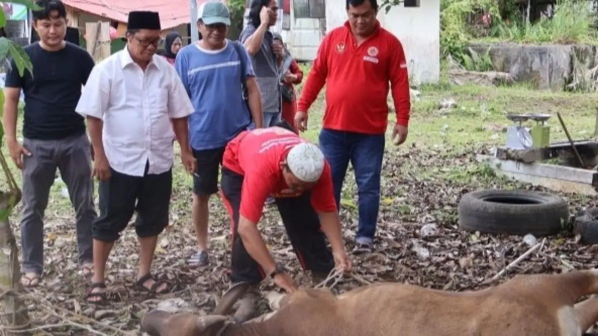 Ketua DPP TGM bersama pengurus organisasi menyaksikan langsung proses penyembelihan hewan kurban.