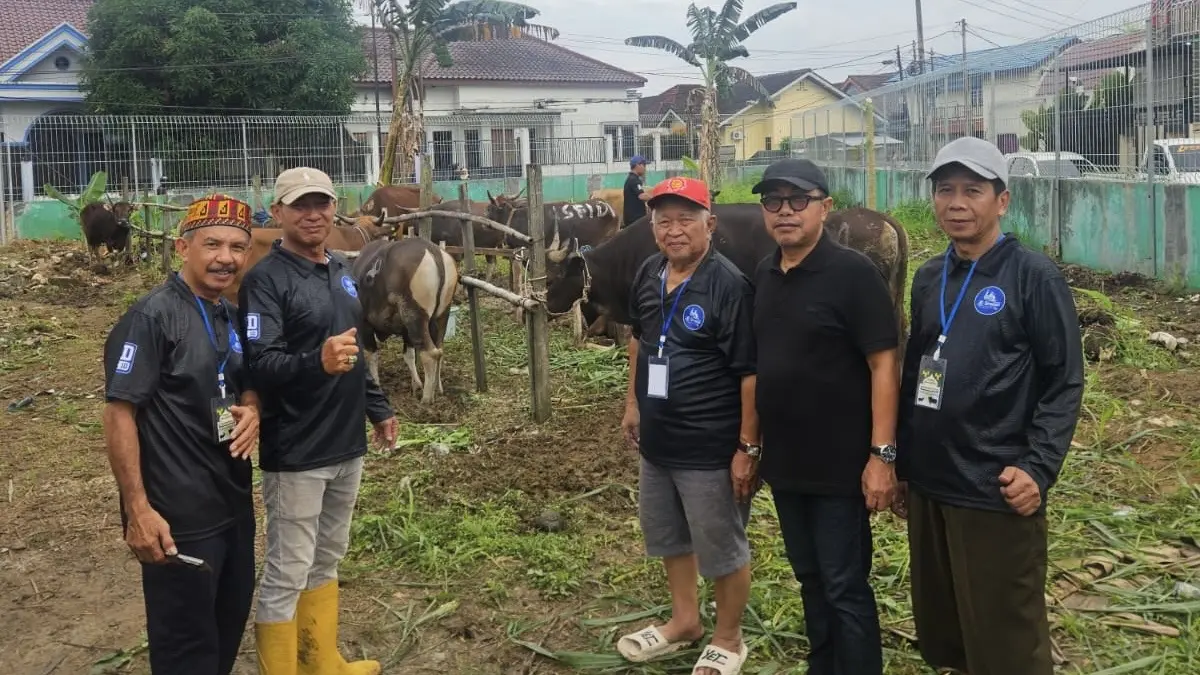 Ketua Panitia Kurban Masjid Al Qomar, Masrullah, saat memantau proses penyembelihan hewan kurban di Kompleks Wijaya Kusuma, Samarinda, Rabu (27/5/2026). 
