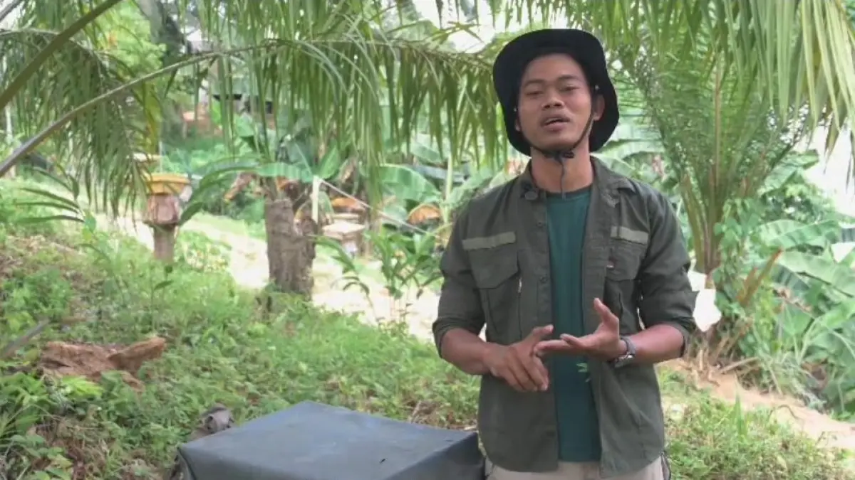 RIMBAWAN: Agus Setiawan menjaga sisa-sisa paru rimba Penajam Paser Utara.(ist)