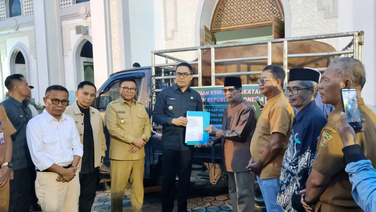 SERAHKAN: Pemkot Samarinda menyerahkan sapi kurban bantuan Presiden RI kepada pengurus Masjid Raya Darussalam Samarinda, Selasa (26/5).