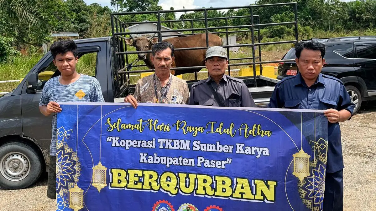 BERBAGI: Koperasi TKBM Sumber Karya Paser bagikan 12 ekor sapi di momen Iduladha 2026 ke berbagai desa.&nbsp;