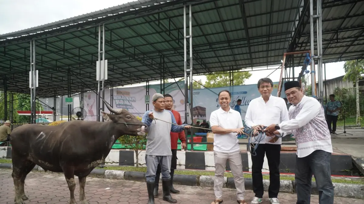 SERAHKAN SAPI KURBAN: General Manager PLN UIP KLT, Basuki Widodo dan General Manager PLN UID Kaltimra, M. Chaliq Fadli, bersama-sama menyerahkan hewan kurban secara simbolis pada kegiatan Idul Adha 1447 H di Kantor PLN UIP KLT, Rabu (27/5).